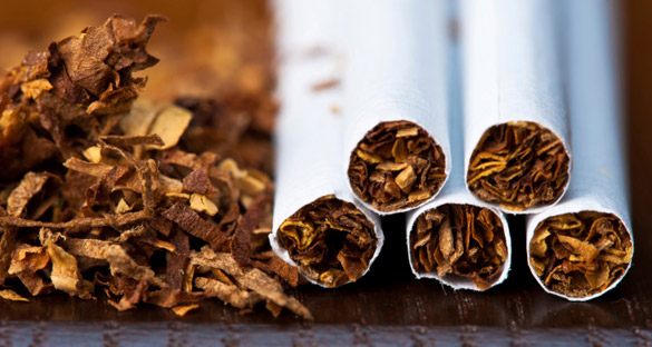 Tobacco Growers Profit Dropped, Low Tobacco Prices