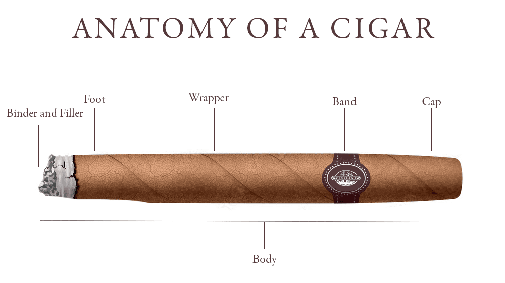 Which end of cigar to light